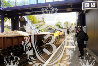 New Eltham SE9 domestic removals New Eltham SE9 domestic removals